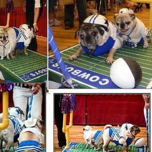 Meet your Posher, Linda